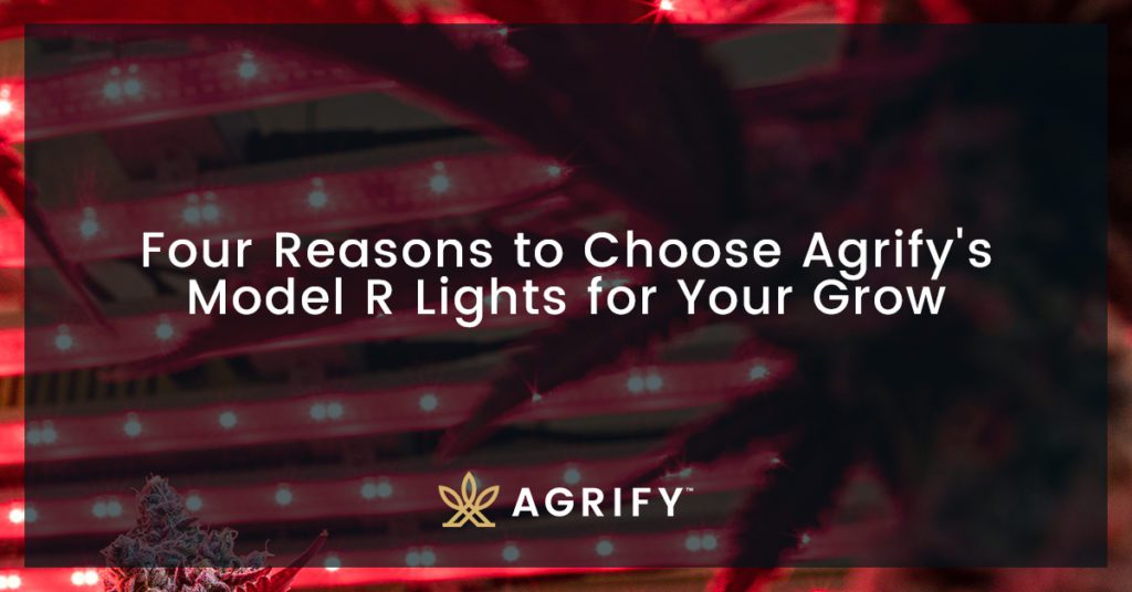 Agrify Model R Lights