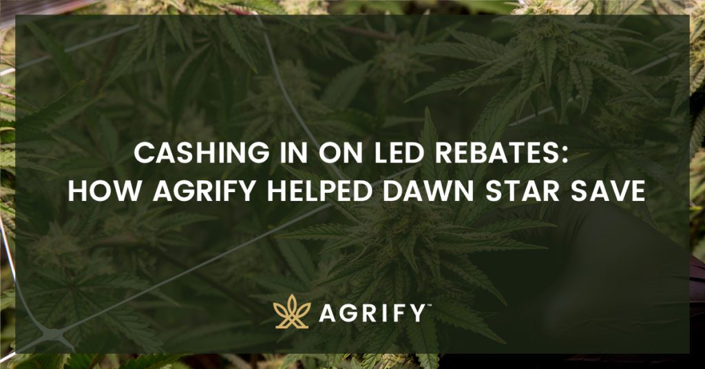 Cashing in on Led rebates