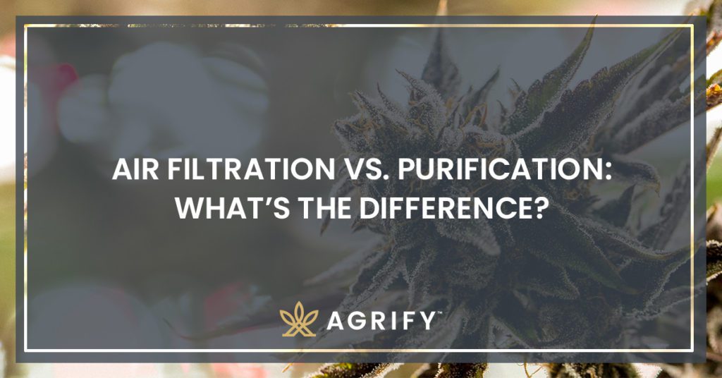 filtration vs purification