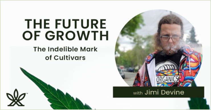 the future of growth with Jimi Devine