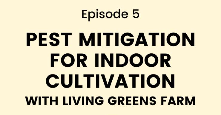 Pest mitigation for indoor cultivation