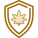 icon-sm-safety-compliance (1) safety compliance icon