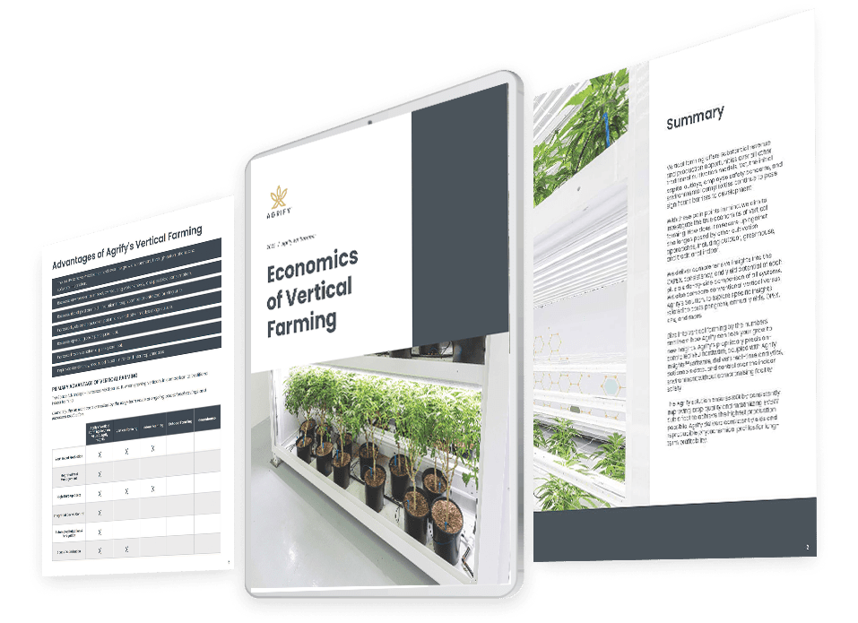 Whitepaper-economics-preview Whitepaper-economics-preview