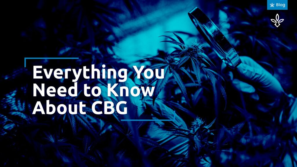 What is CBG (Cannabigerol)?