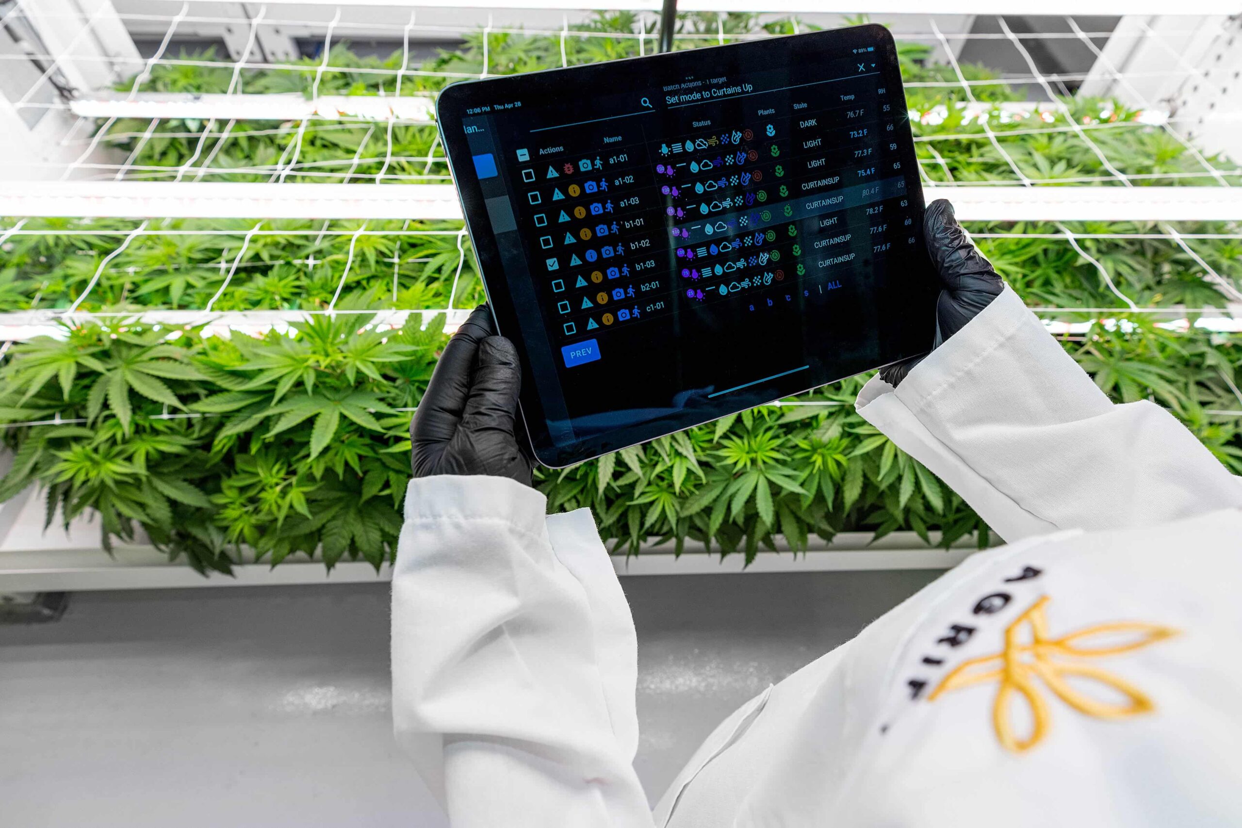 Role of temperature in plant development