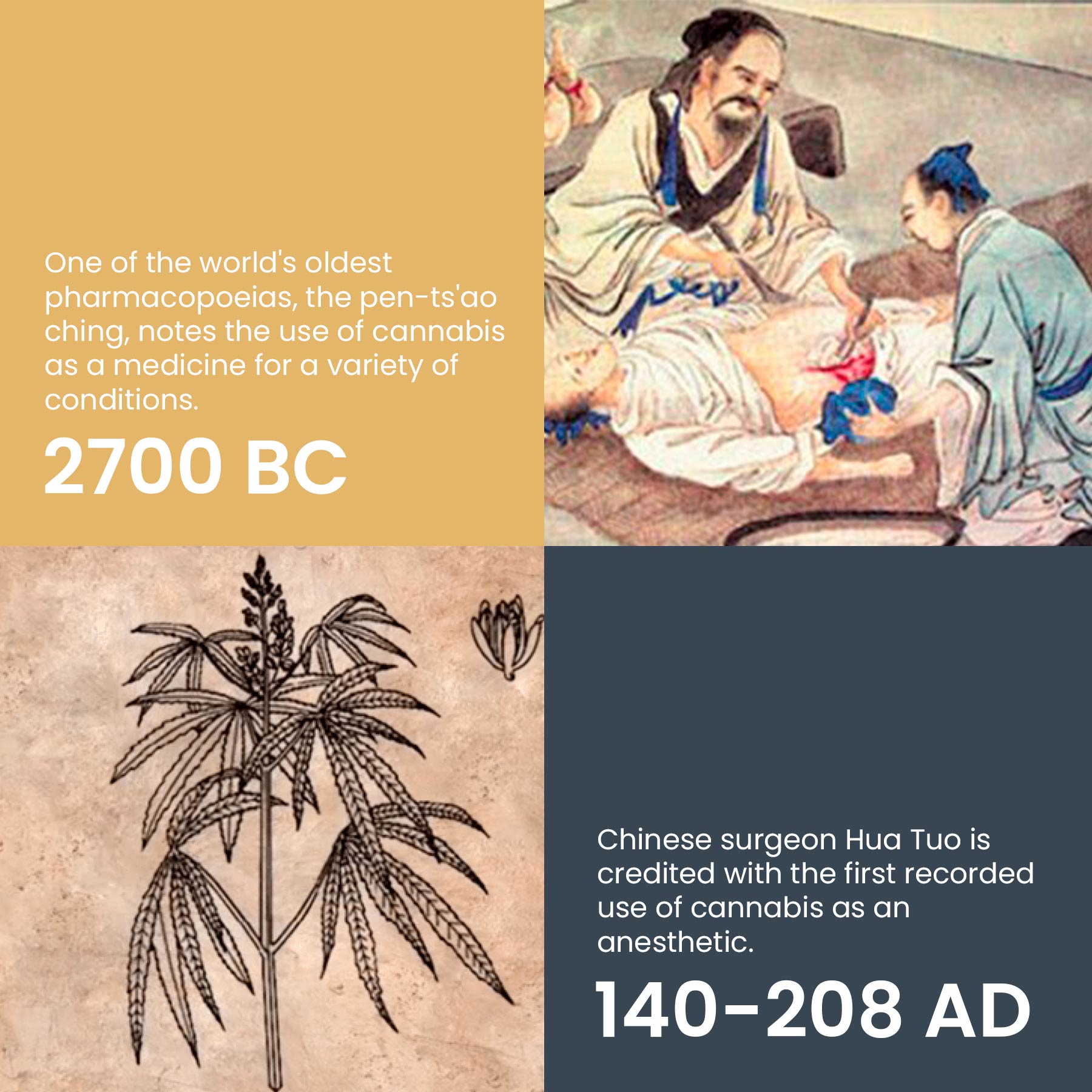 Cannabis Early Usage