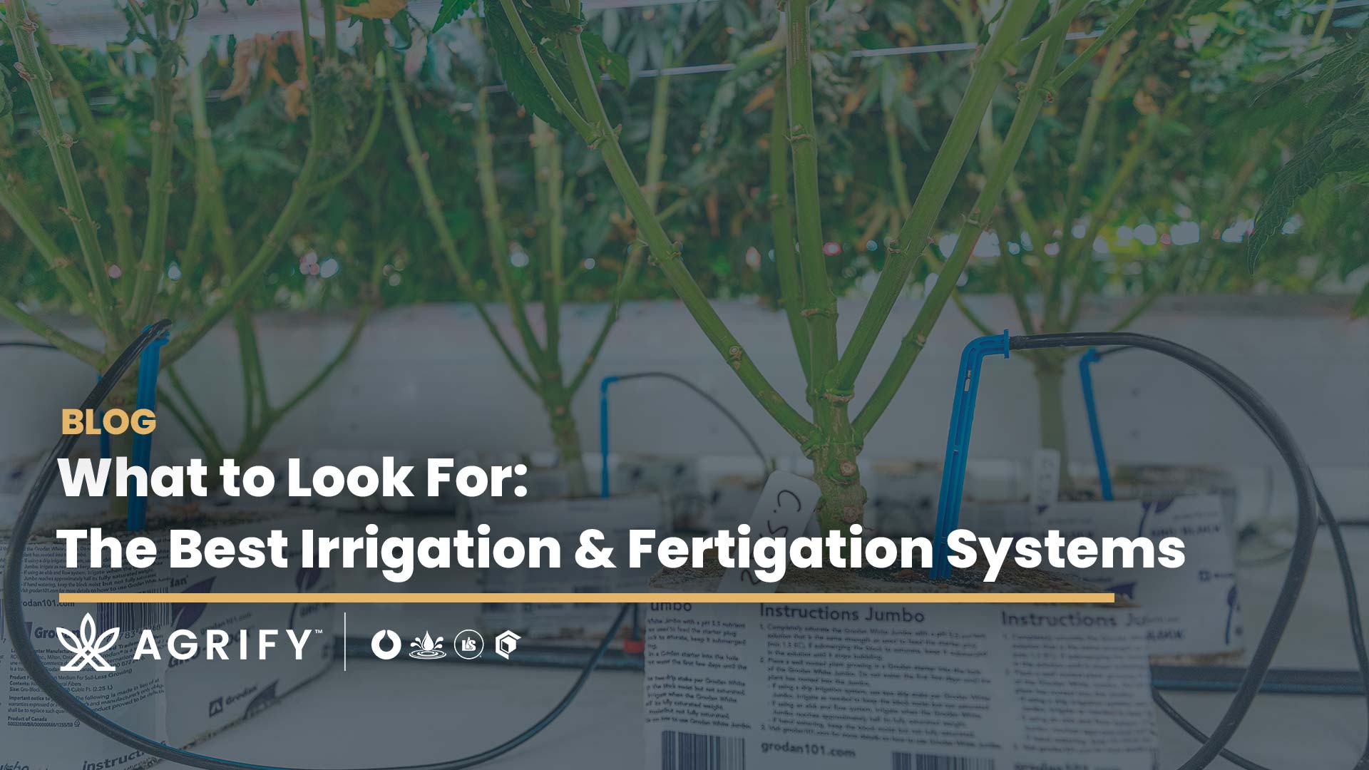 automated fertigation systems