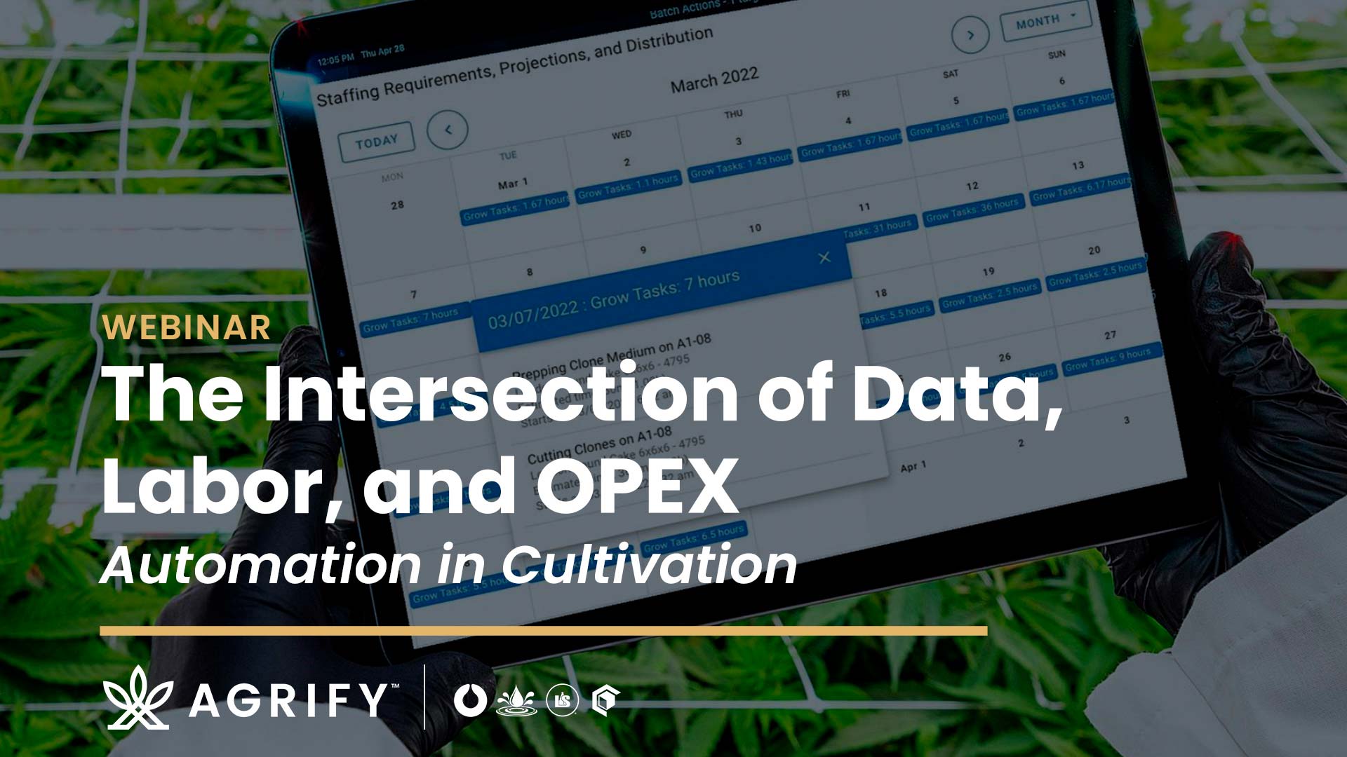 Automation in cultivarion