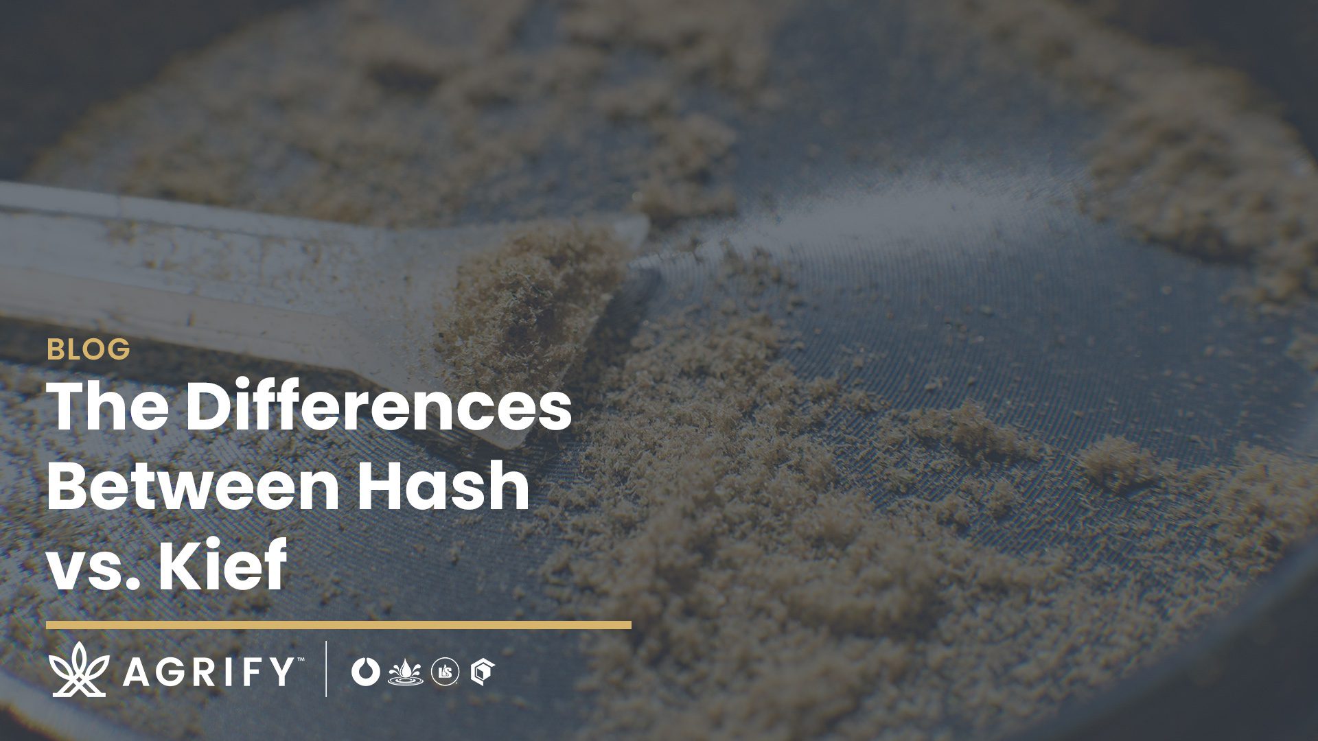 Pressing Kief into Hash