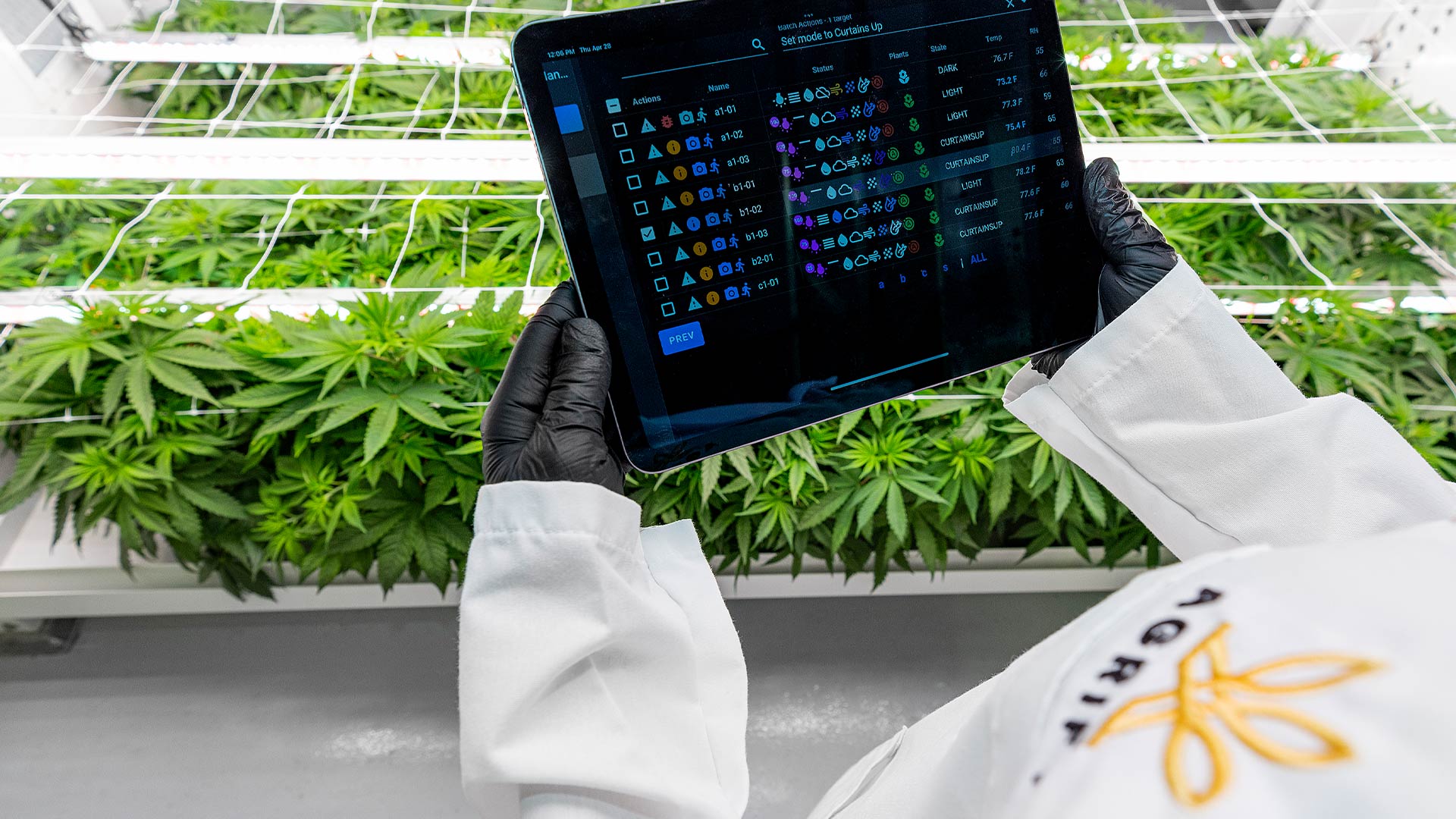 The Importance of Cannabis Quality Testing