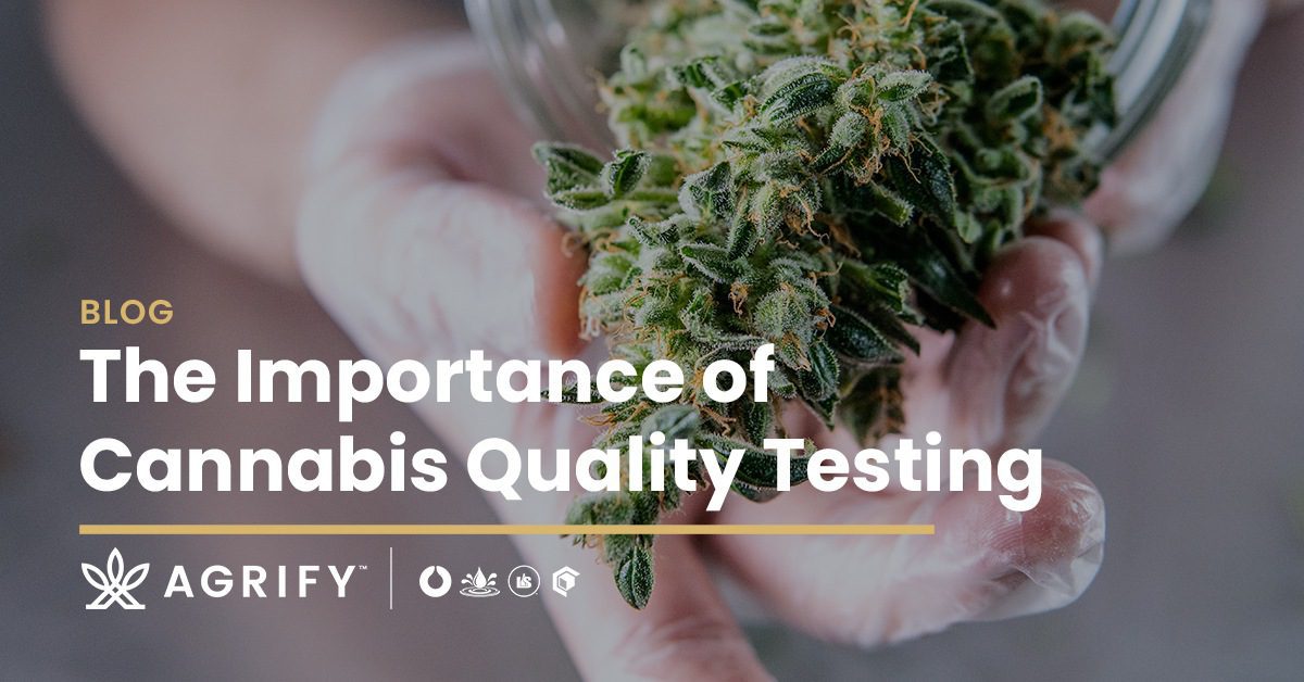 The Importance of Cannabis Quality Testing